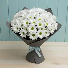 Букет цветов из:  Хризантемы #REPLACE_PRED# Слюдянке
