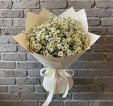 Букет цветов из:  Ромашки #REPLACE_PRED# Слюдянке