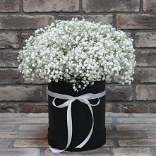 Цветочная композиция из Гипсофила в шляпной коробке в Слюдянке