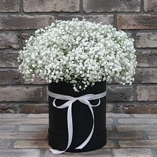 Цветочная композиция из Гипсофила в шляпной коробке в Слюдянке